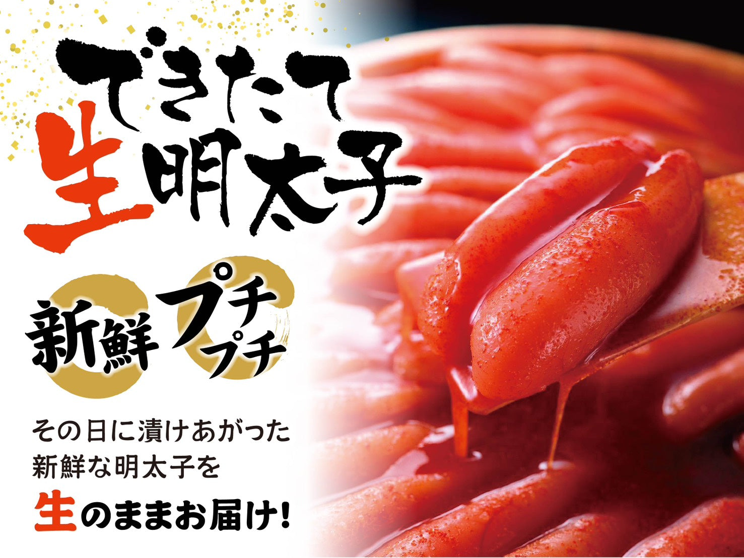 めんたいこ オンライン直売店 | めんたいパーク伊豆